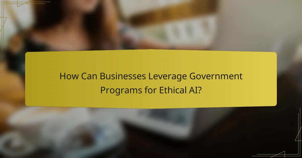 How Can Businesses Leverage Government Programs for Ethical AI?