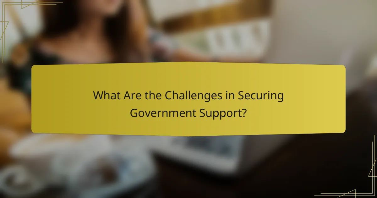 What Are the Challenges in Securing Government Support?