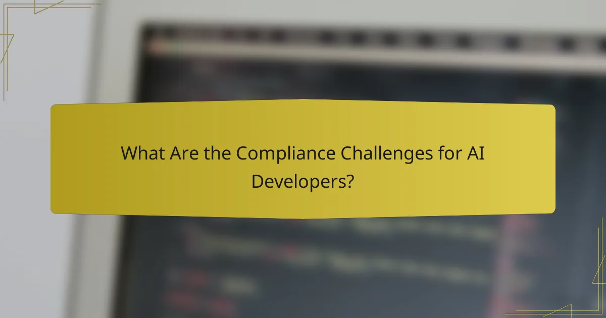 What Are the Compliance Challenges for AI Developers?