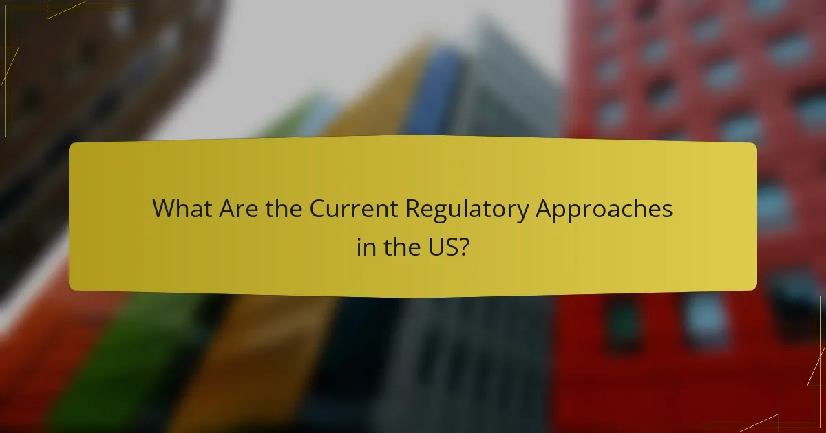 What Are the Current Regulatory Approaches in the US?