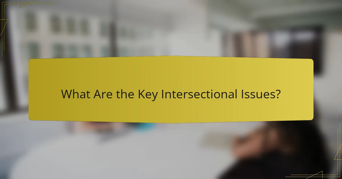What Are the Key Intersectional Issues?