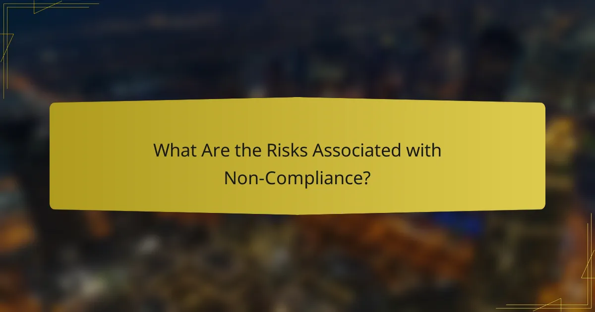 What Are the Risks Associated with Non-Compliance?