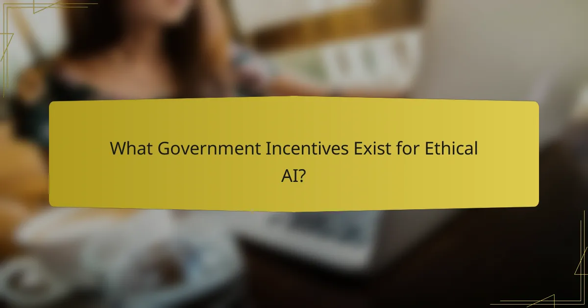 What Government Incentives Exist for Ethical AI?